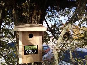 Nature et Transition (2021-2023)